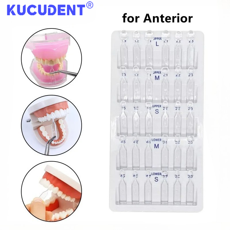 Teeth Whitening Moulds - 30 pièces/ensemble, moule pour placage dentaire,